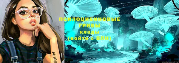 мескалин Абинск