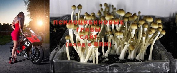 герыч Абаза