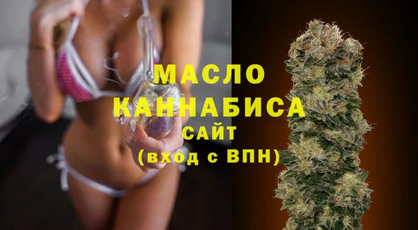 индика Галич